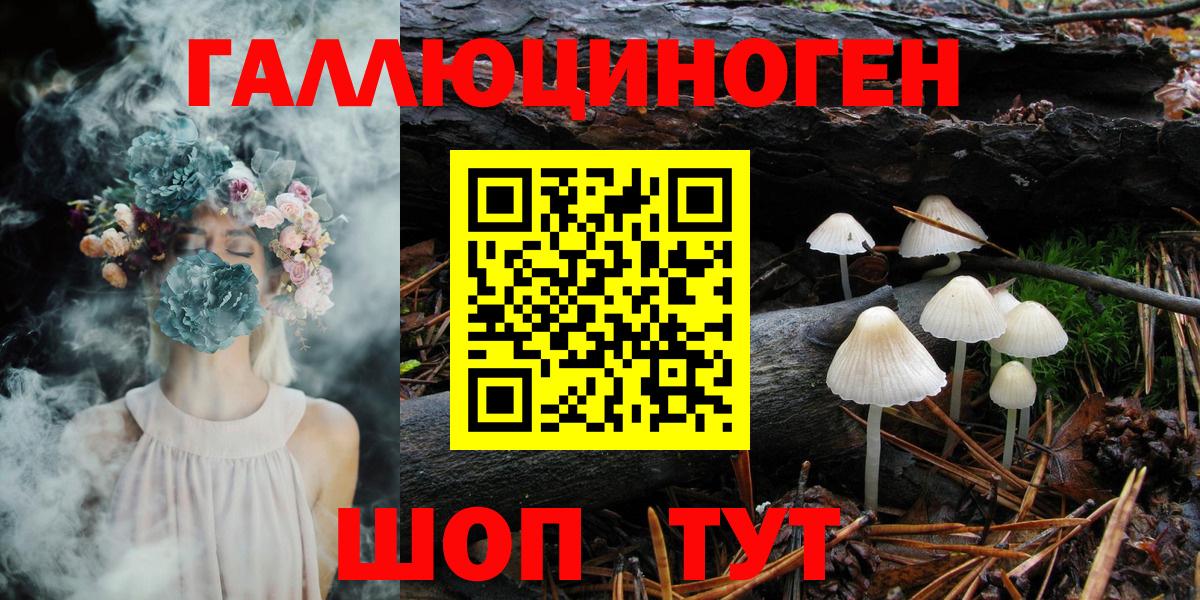 МЕФ Мыски