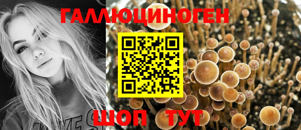 Галлюциногенные грибы Magic Shrooms  Вход с VPN  Мыски 